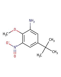 Astatech 5-(TERT-BUTYL)-2-METHOXY-3-NITROANILINE; 1G; Purity 95%; MDL-MFCD26960647